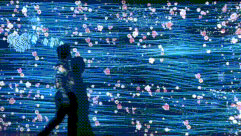 1555467734565184.jpg 29.jpg